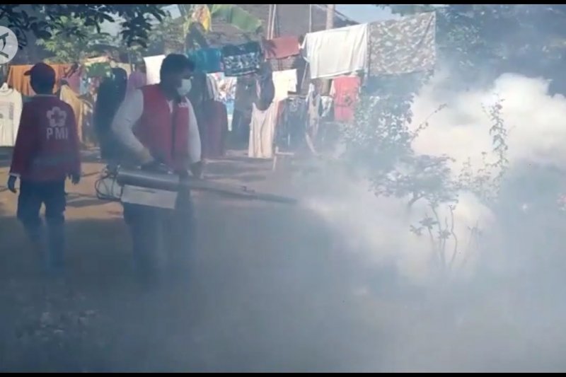 PMI Jember gencar lakukan fogging