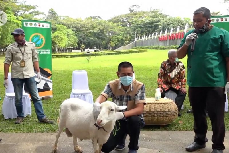 Ridwan Kamil: pembagian daging kurban dari rumah ke rumah