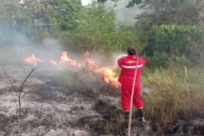 Jelang kemarau, Manggala Agni Sultra antisipasi karhutla