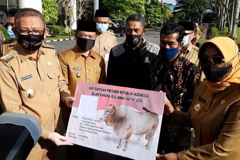 Gubernur Kalbar serahkan hewan kurban bantuan Presiden