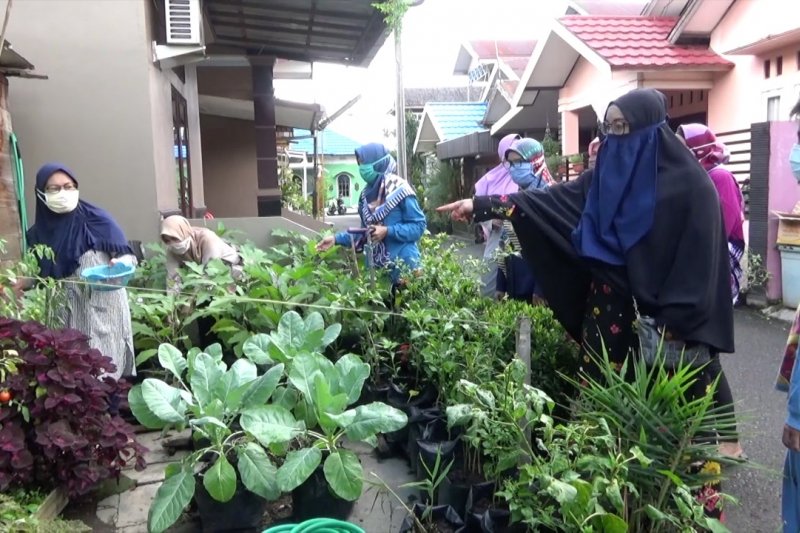 Manfaatkan pekarangan untuk penuhi kebutuhan pangan