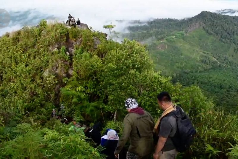 Rugi Rp12 miliar, Riau fokus ke wisata alam DosooL