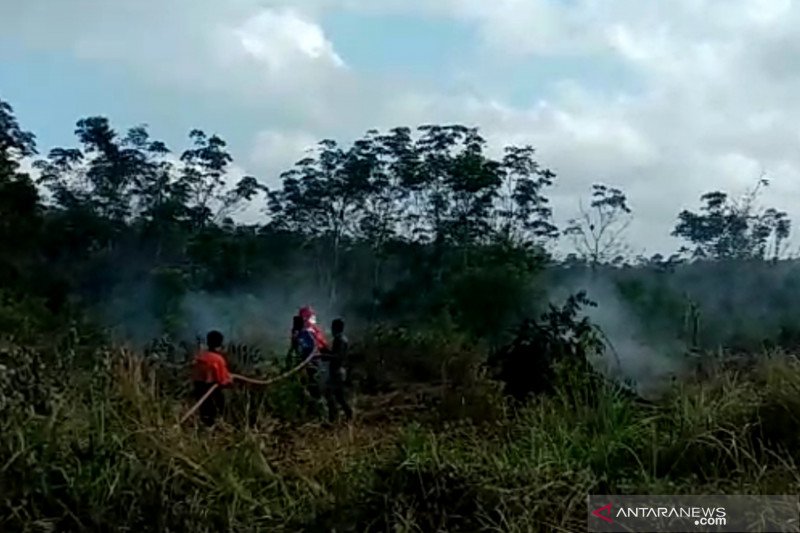 BPBD PALI mulai padamkan karhutla di tengah pandemi COVID-19
