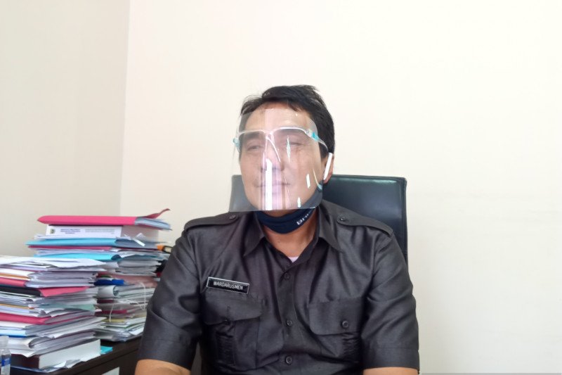 Permudah baca buku saat pandemi, Sumbar luncurkan