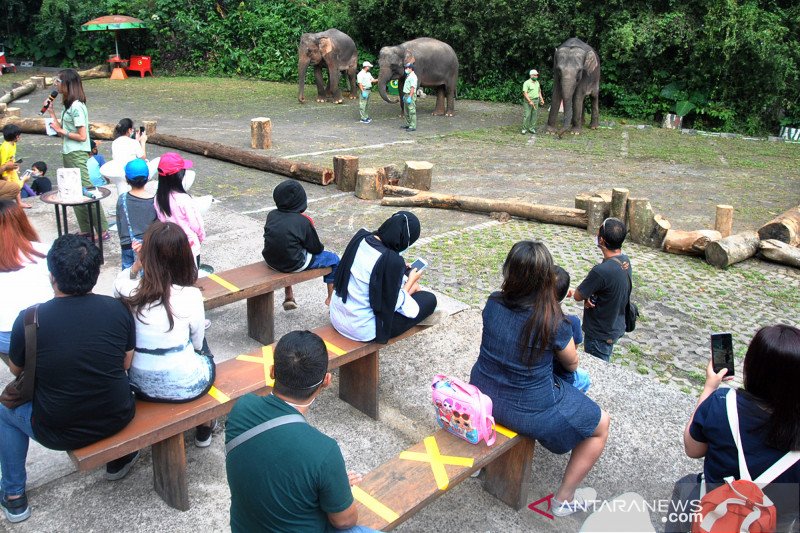 Wisatawan kunjungi Taman Safari Indonesia di Cisarua