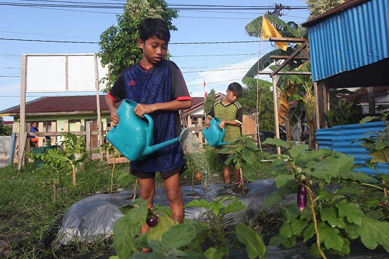 Peran CSR Pertamina RU II Dumai menjaga ketahanan pangan