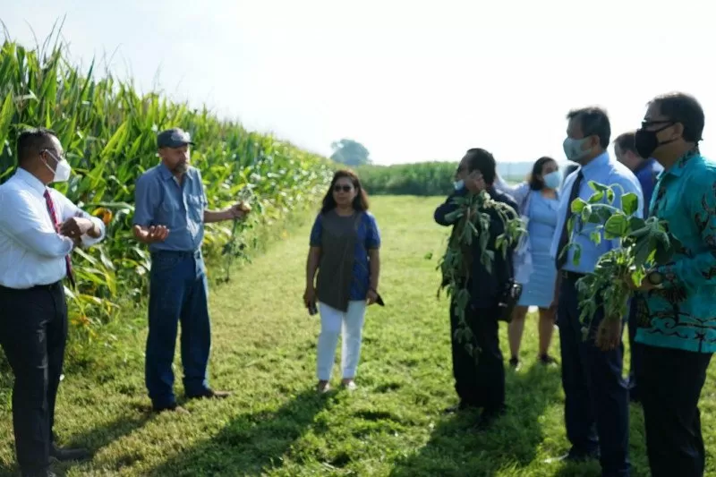 Pihak KJRI Chicago mengunjungi lahan pertanian kedelai milik diaspora Indonesia di negara bagian Indiana, Amerika Serikat. (HO-KJRI Chicago)