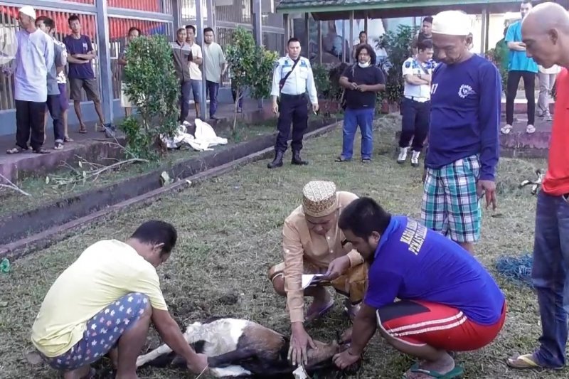 Warga Binaan Pemasyarakatan turut menyumbangkan hewan kurban