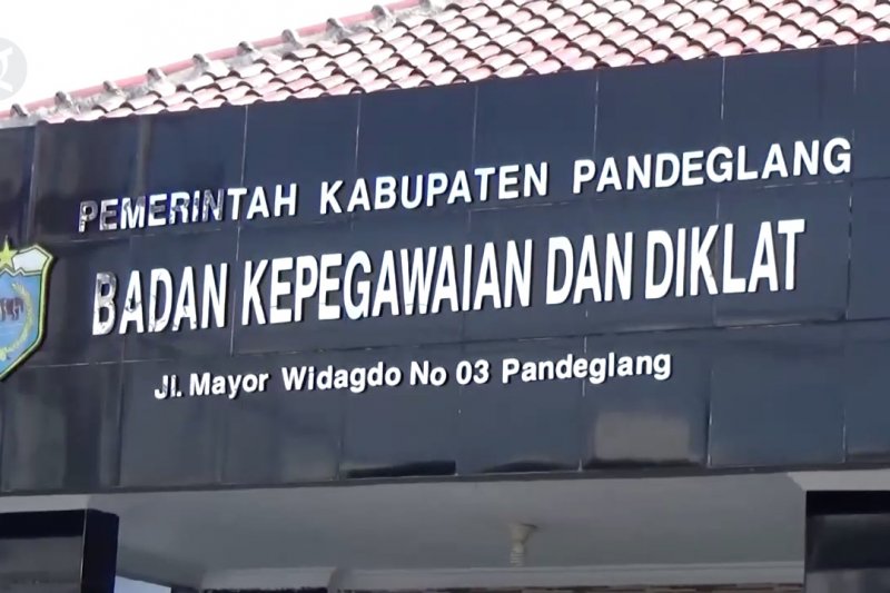 MenPAN RB : Profesionalisme ASN harus dijaga dalam Pilkada