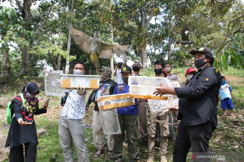 Pelepasan burung di taman Tahura