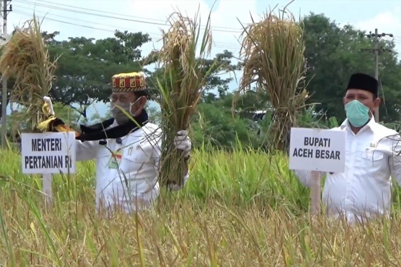 Mentan minta Aceh siap jadi penyokong ekonomi dari sektor pertanian