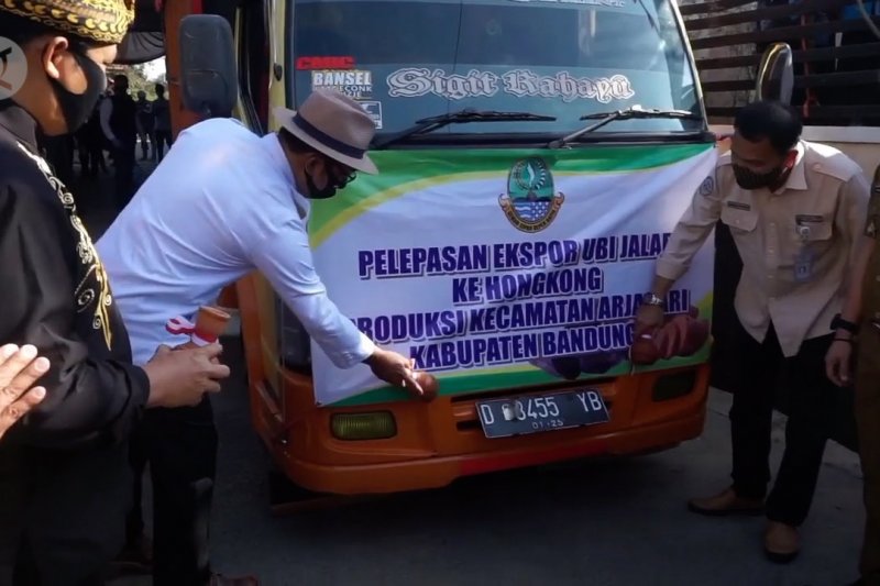 Gubernur Jabar lepas ekspor 30 ton ubi jalar ke Hongkong