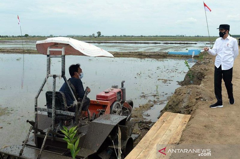 Presiden Jokowi minta waspadai peningkatan curah hujan bulanan