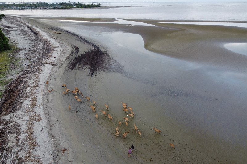 WISATA PANTAI TERCEMAR LIMBAH PERTAMBANGAN NIKEL