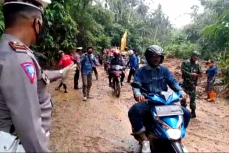 Antisipasi longsor BPBD Lampung perkuat tebing dengan rumput vetiver