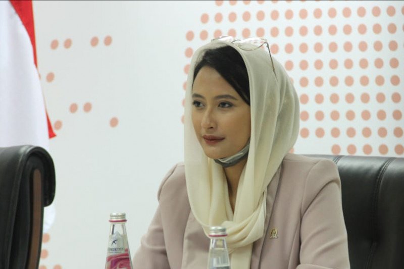 Dalam forum PBB, Anggota DPR milenial jelaskan pentingnya EBT