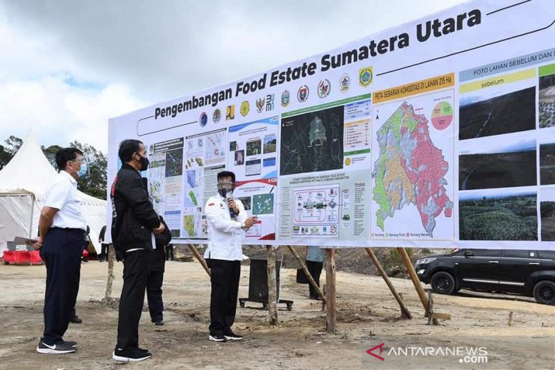 Mentan sebut tujuh investor siap dukung food estate di Humbahas