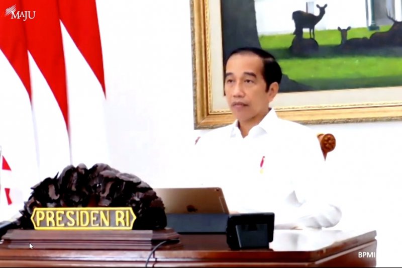 Presiden dorong pengembangan industri turunan batu bara