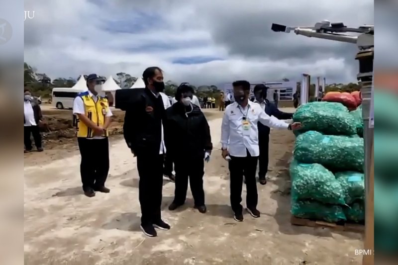 Jokowi tinjau pembangunan kawasan lumbung pangan di Sumatera Utara