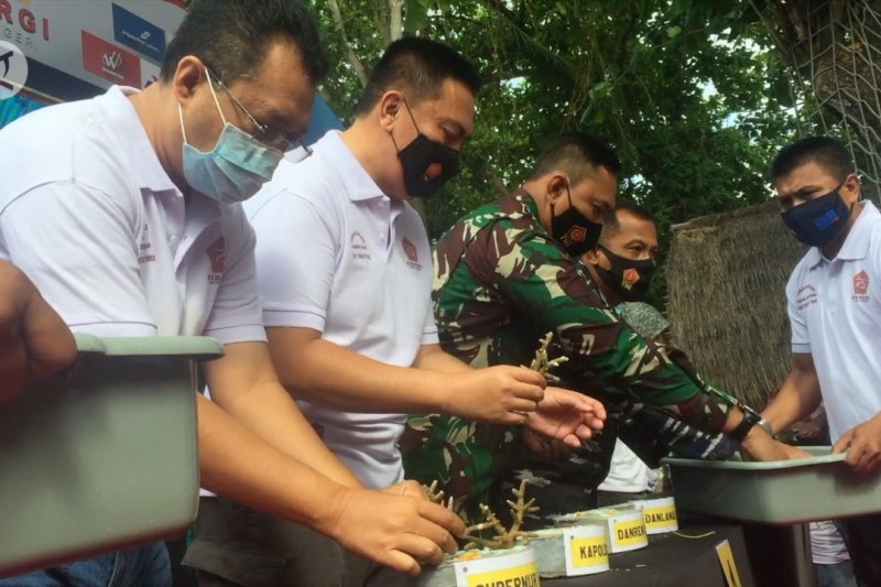 Merekonstruksi  Pantai Senggigi dengan terumbu karang dan pelepasan tukik