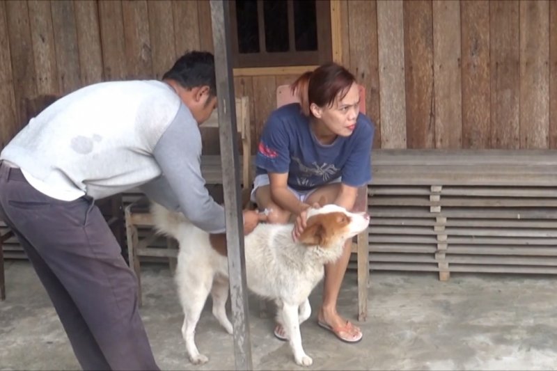 Kapuas targetkan penyuntikan 2.500 vaksin rabies gratis di tahun 2020