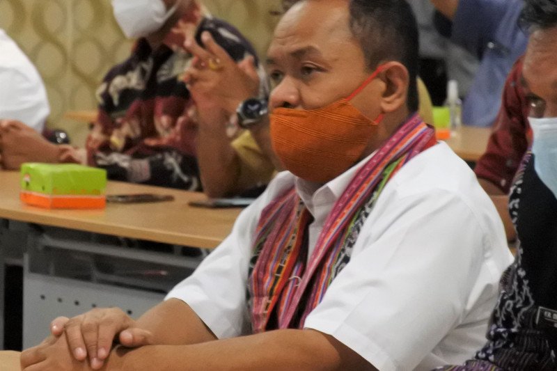 Ada 74 tambahan, positif COVID-19 di NTT naik jadi 1.087 kasus