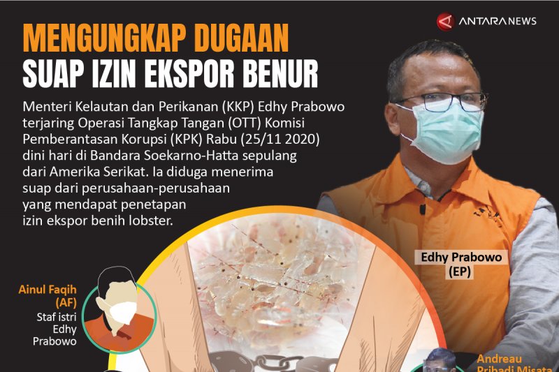 Mengungkap dugaan suap izin ekspor benur