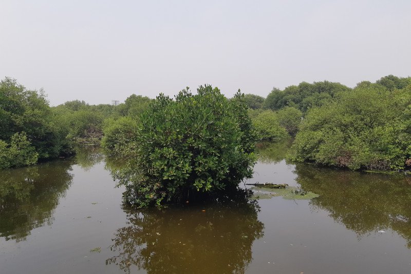 RLU raih penghargaan