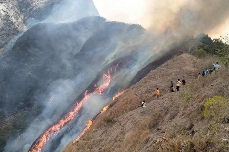 Ini proses pemadaman api di Bukit Anak Dara Sembalun