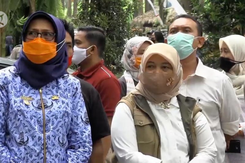 Kemenko Maritim dorong pengelolaan perhutanan sosial