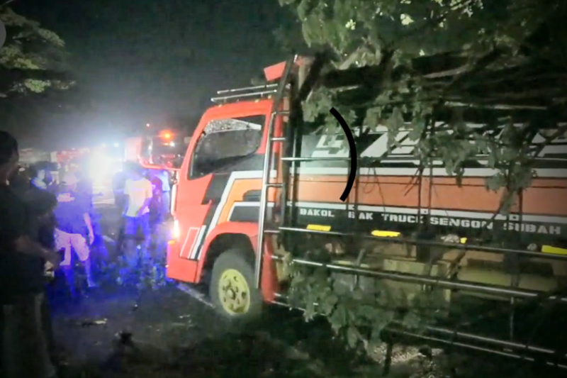 Pohon tua tumbang timpa truk, pantura Jateng macet 3 km