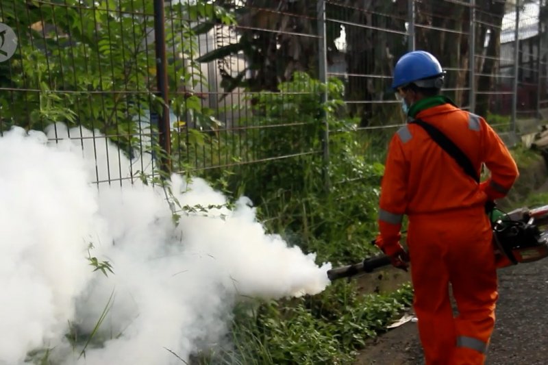 Cegah DBD, petugas kesehatan lakukan pengasapan