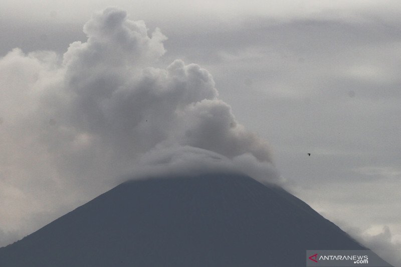 Gunung Semeru masih meluncurkan awan panas guguran