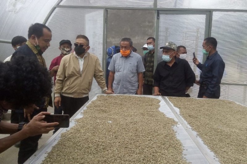Setiap tahun, ekspor kopi Mamasa 400 ton