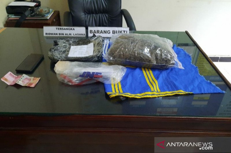 Polisi tangkap kurir 1,6 kg ganja di Kendari