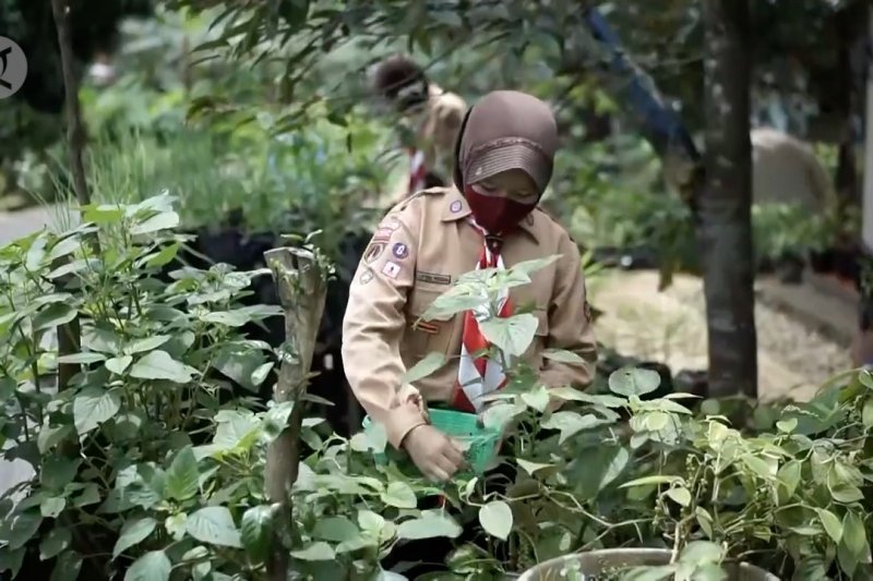 29 juta orang telah diedukasi tentang protokol kesehatan