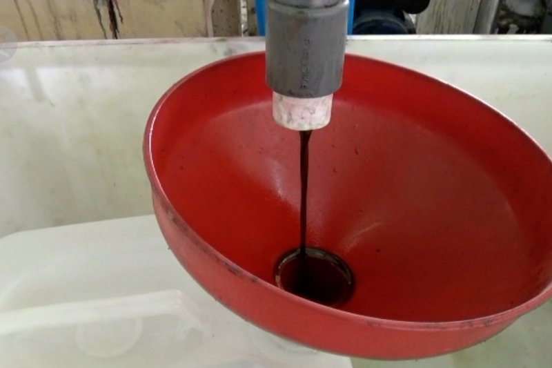 Manfaatkan buah Tamanu, Pemdes Panggungharjo Bantul berdayakan warga desa