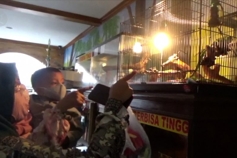 Kebun Binatang Mini Kuningan batasi pengunjung 50%