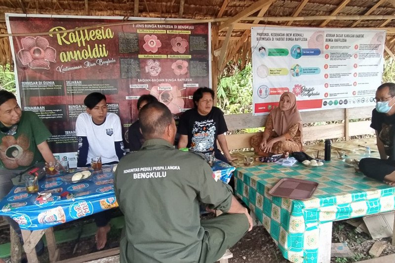 Pengunjung Rafflesia di Bengkulu wajib patuhi protokol kesehatan