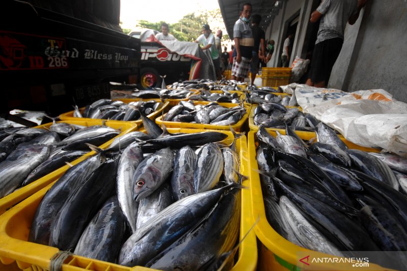 HARGA IKAN MELONJAK DAMPAK CUACA BURUK