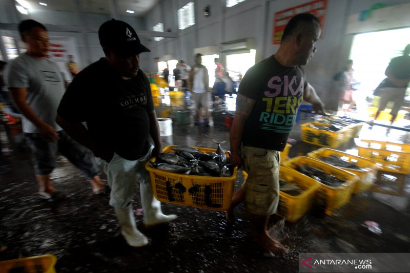 HARGA IKAN MELONJAK DAMPAK CUACA BURUK