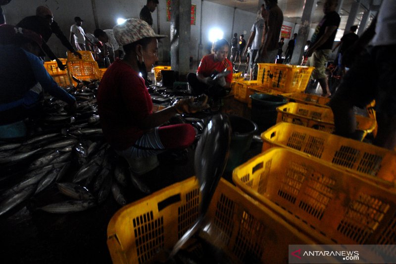 HARGA IKAN MELONJAK DAMPAK CUACA BURUK