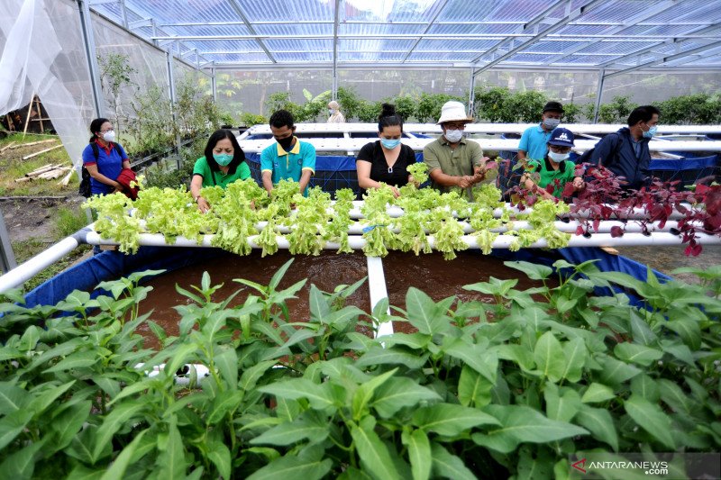 Wisata edukasi Urban Farming