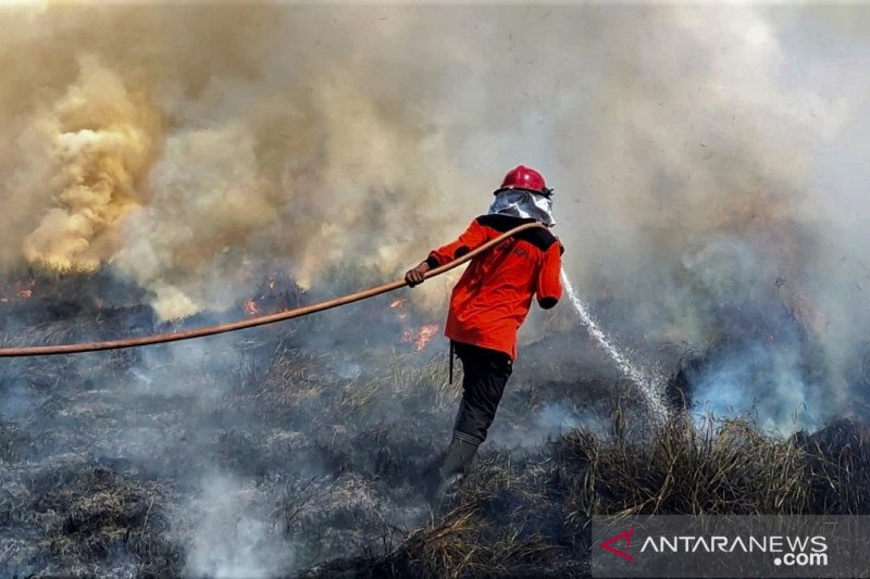 KARHUTLA DI TNRAW BOMBANA CAPAI 80 HEKTARE