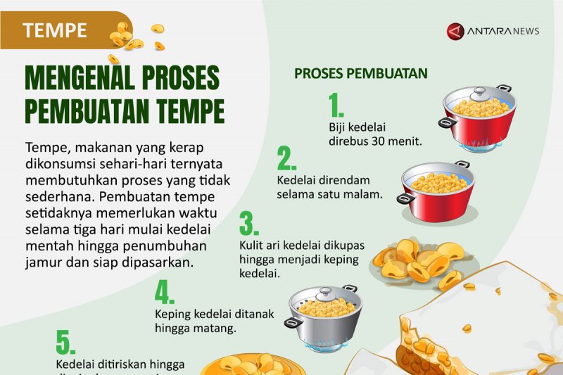 Pembuatan Tempe Dari Kedelai Memerlukan Bantuan Jamur - Homecare24