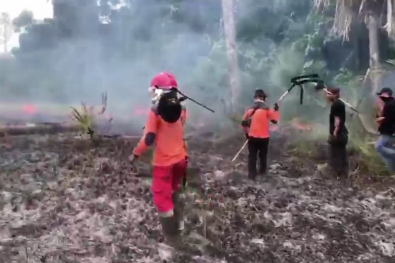17,5 ha lahan Taman Nasional Rawa Aopa Watumohai sepekan terbakar