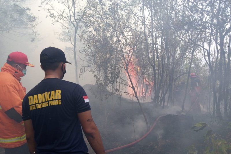 Januari-Februari 2021 terjadi 46 kasus kebakaran di Tanjungpinang