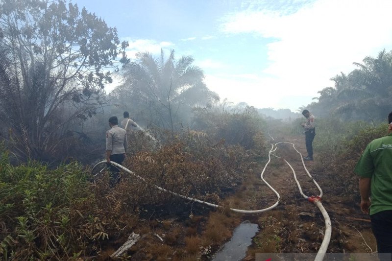 BPBD sebut kebakaran hutan empat daerah di Sumbar efek cuaca panas