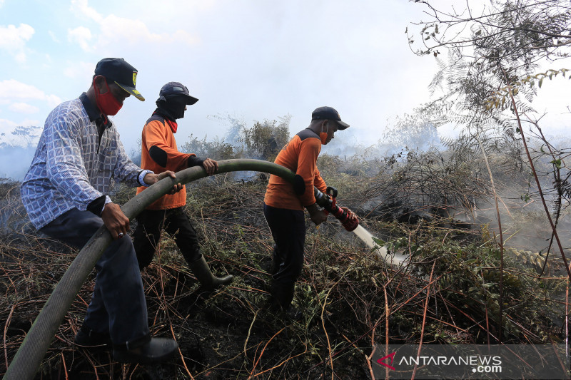 Kebakaran gambut di Aceh Barat hanguskan delapan hektare lahan