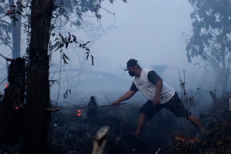 Dikepung 741 titik api, 6 kabupaten/kota di Kalbar Siaga Karhutla